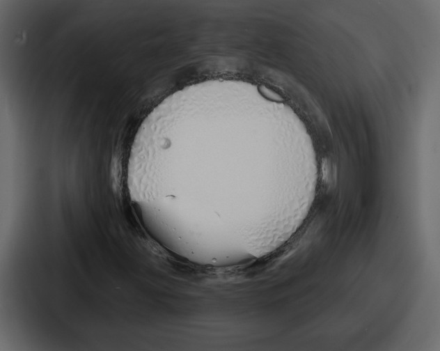 X0000086781203200705111748