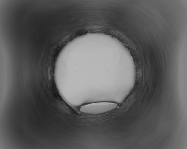 X0000086781204200705111748