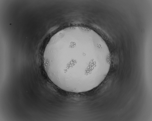 X0000086781207200705111748