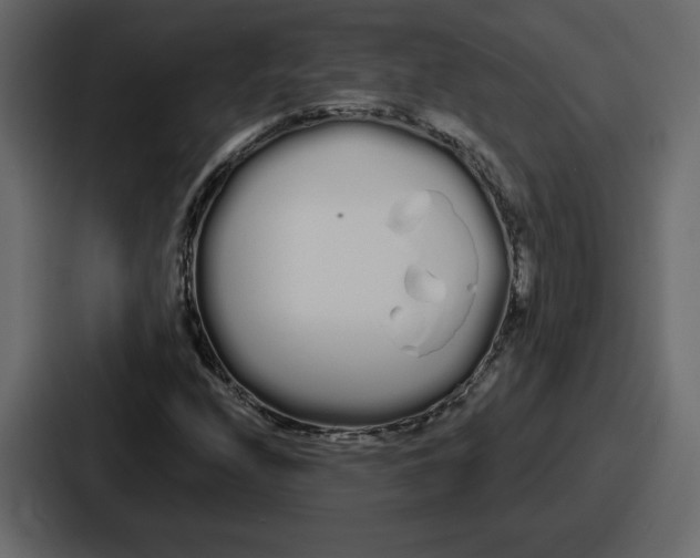 X0000086781208200705111748