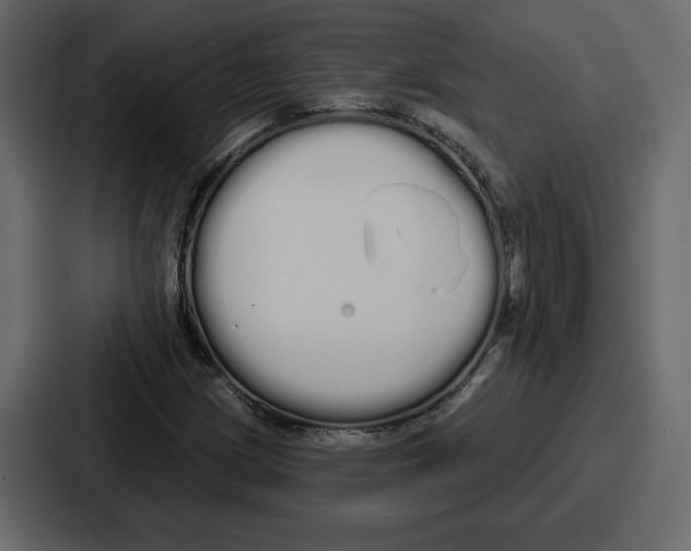 X0000086781209200705111748