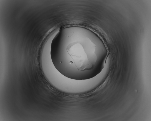 X0000086781210200705111748