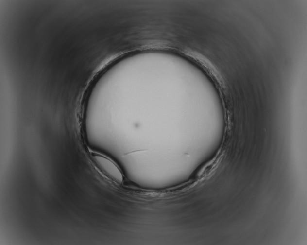 X0000086781212200705111748