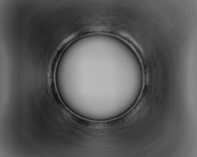 X0000086781213200705111748