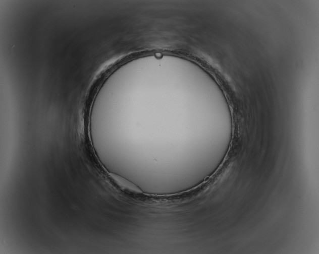 X0000086781214200705111748