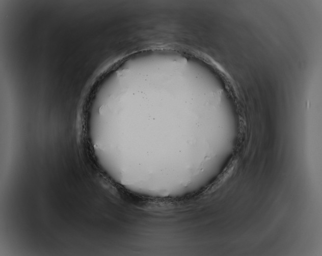 X0000086781215200705111748