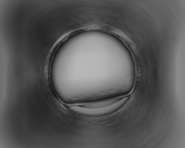 X0000086781216200705111748