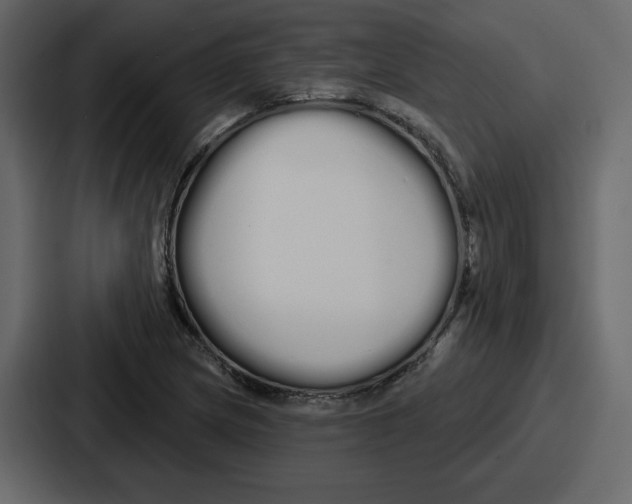 X0000086781217200705111748