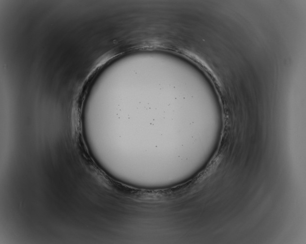 X0000086781219200705111748