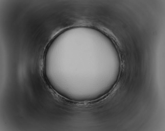 X0000086781220200705111748