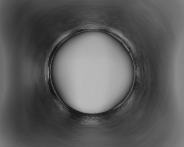 X0000086781221200705111748