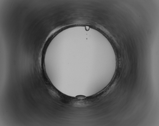 X0000086781222200705111748