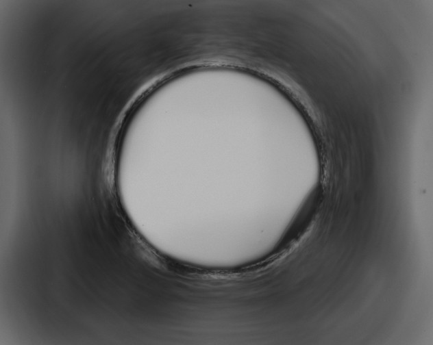 X0000086781224200705111748