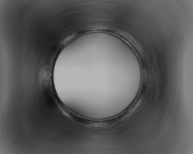 X0000086781225200705111748