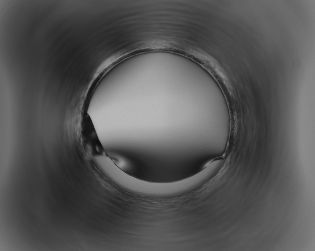 X0000086781226200705111748