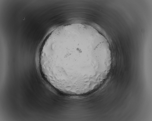 X0000086781227200705111748