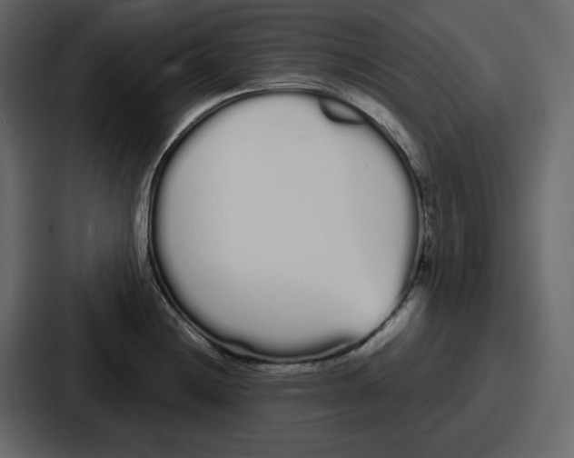 X0000086781228200705111748