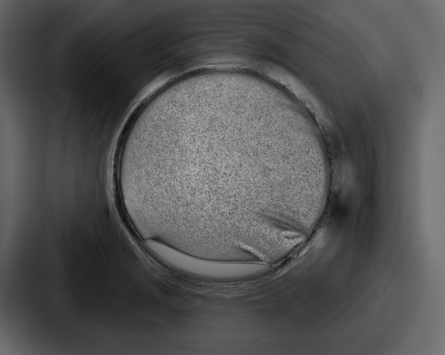 X0000086781229200705111748