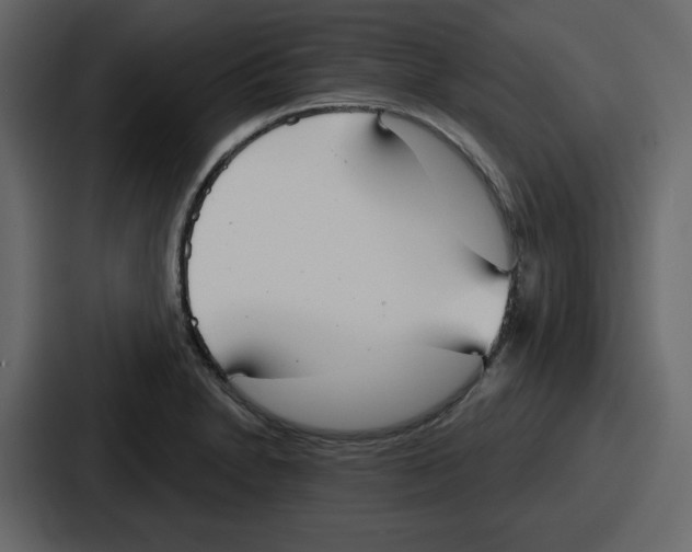 X0000086781230200705111748