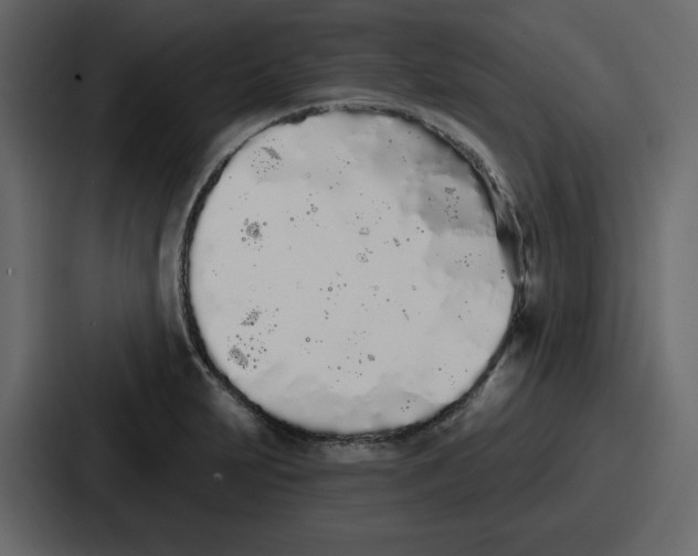 X0000086781231200705111748