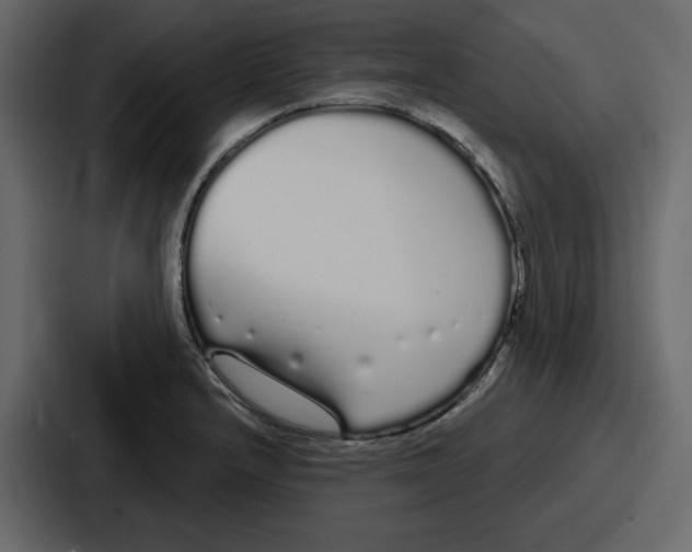 X0000086781232200705111748