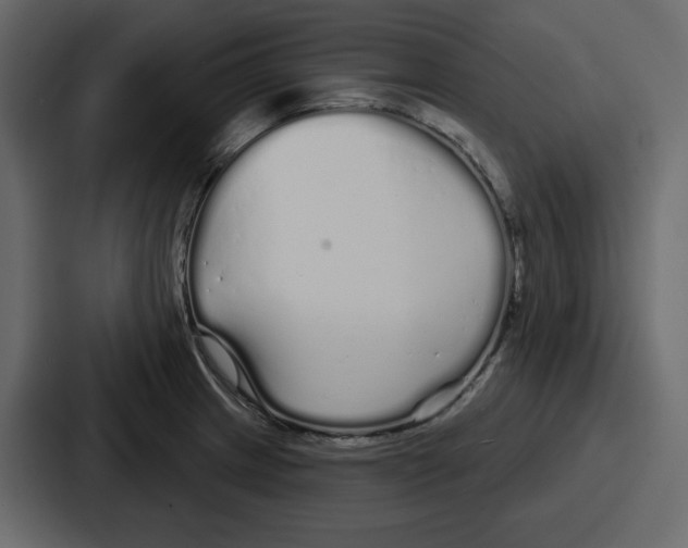 X0000086781233200705111748