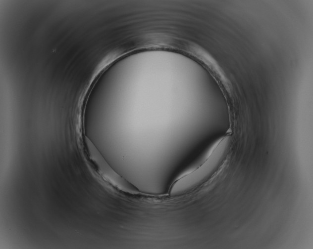 X0000086781234200705111748