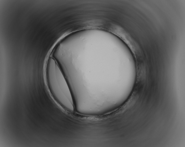 X0000086781235200705111748