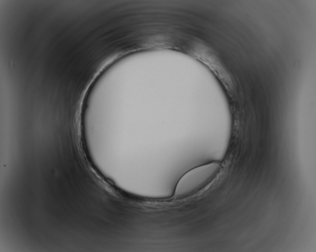 X0000086781236200705111748