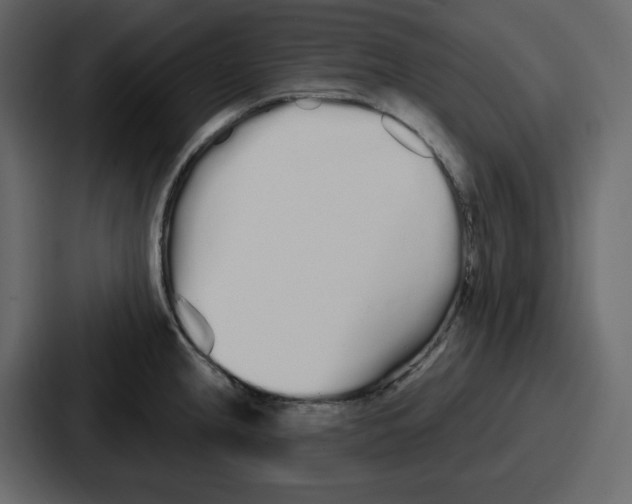 X0000086781237200705111748