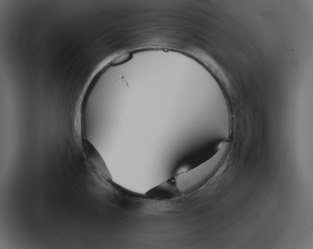 X0000086781238200705111748