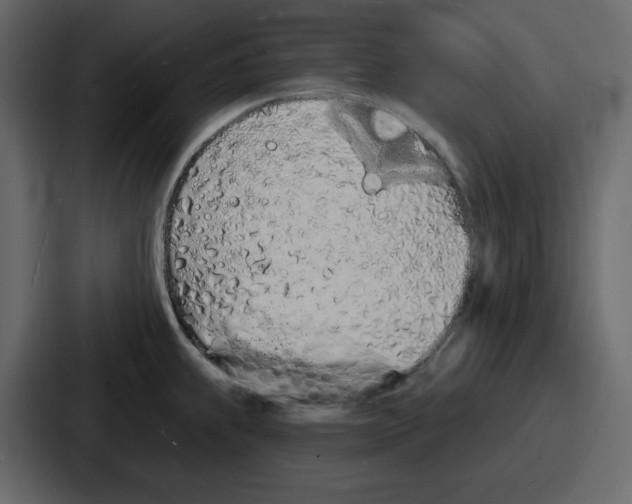 X0000086781239200705111748