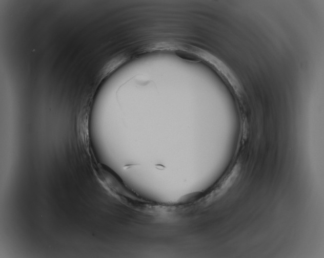 X0000086781241200705111748