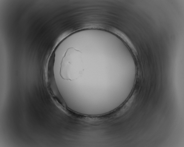 X0000086781242200705111748