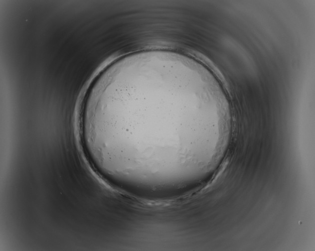 X0000086781243200705111749