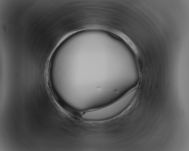 X0000086781244200705111749