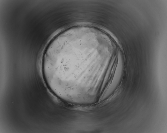 X0000086781245200705111749