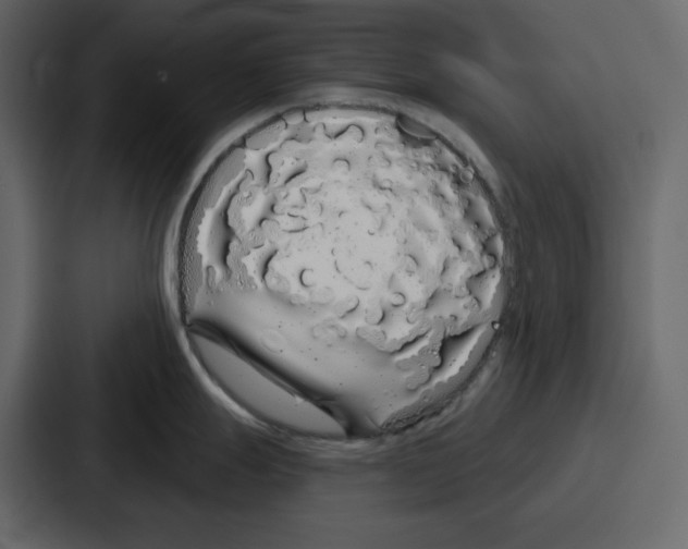 X0000086781247200705111749