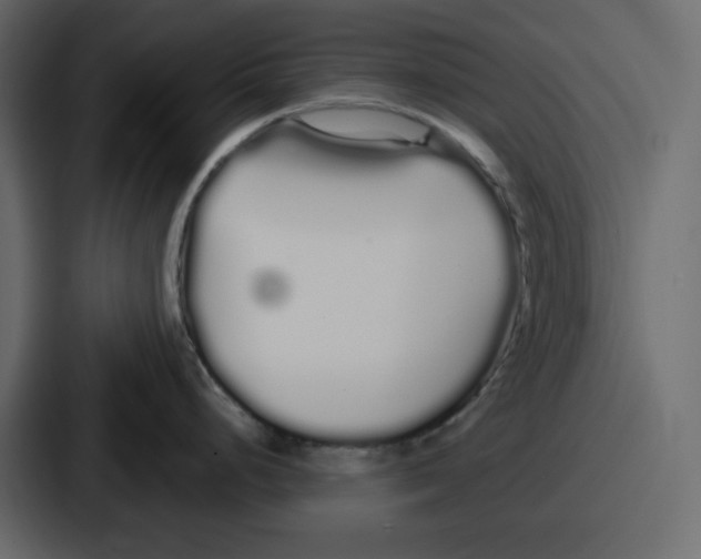 X0000086781248200705111749