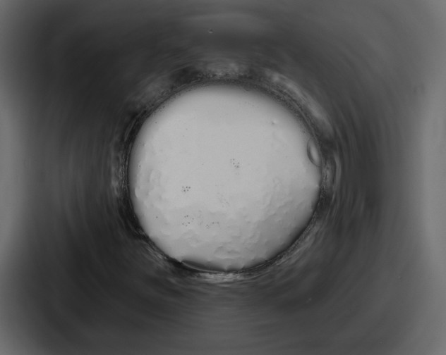 X0000086781251200705111748