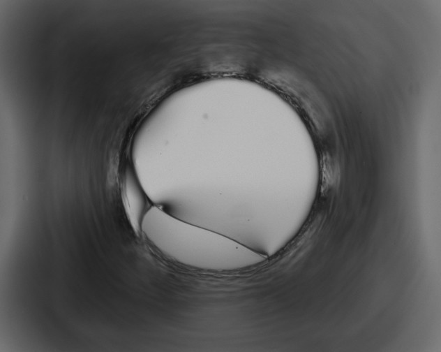 X0000086781252200705111748