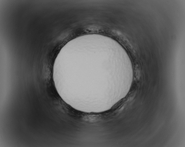 X0000086781253200705111748