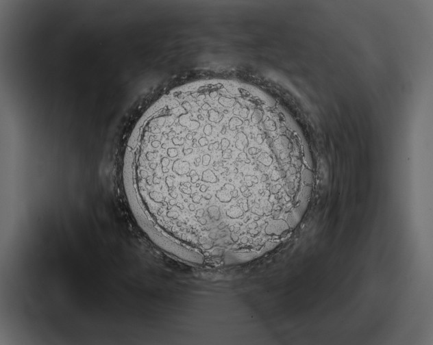 X0000086781254200705111748