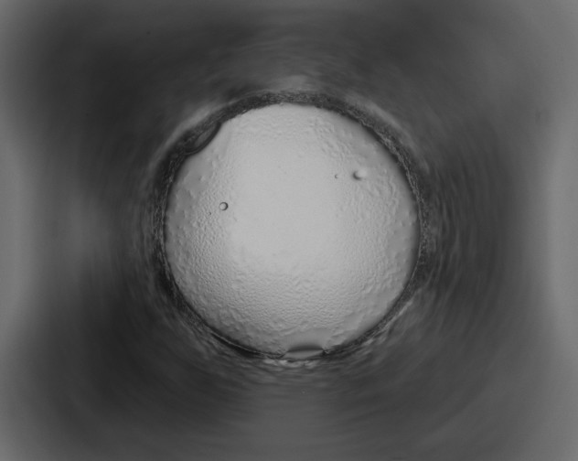 X0000086781255200705111748