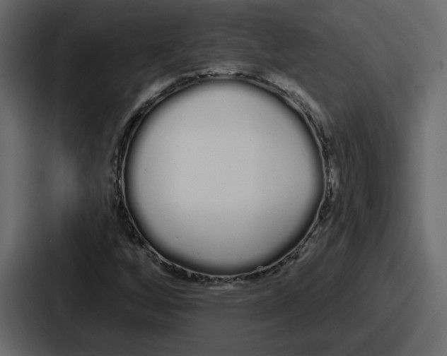 X0000086781256200705111748