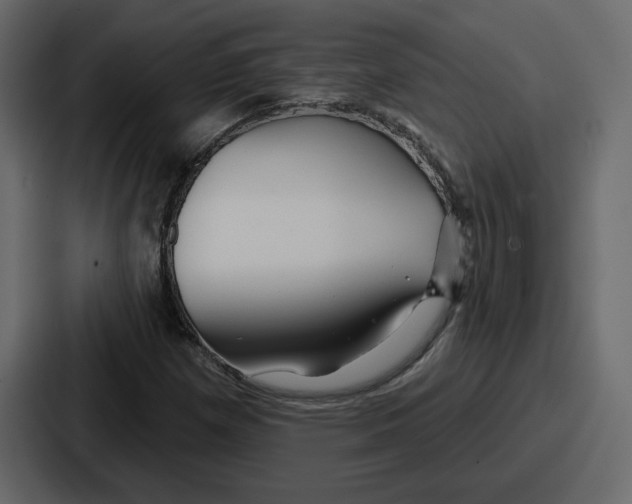 X0000086781257200705111748