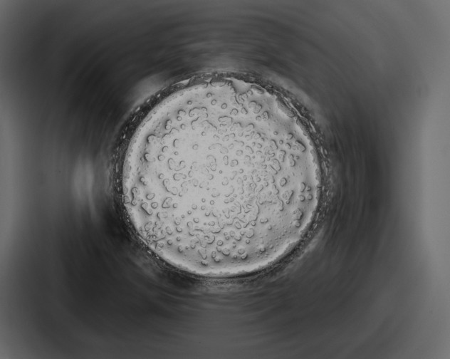 X0000086781258200705111748