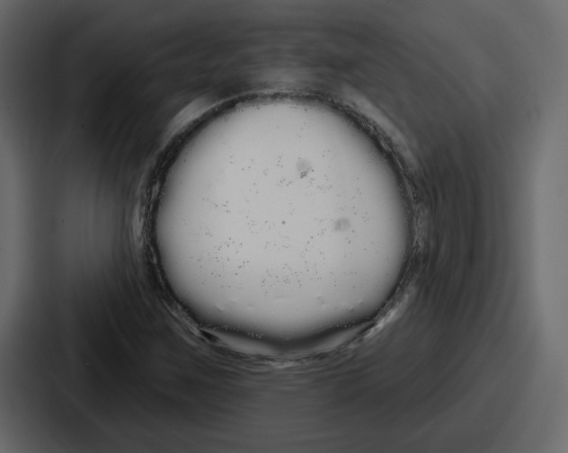 X0000086781259200705111748