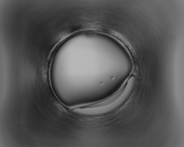 X0000086781260200705111748