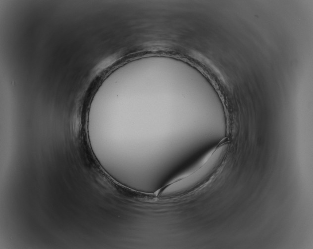 X0000086781261200705111748